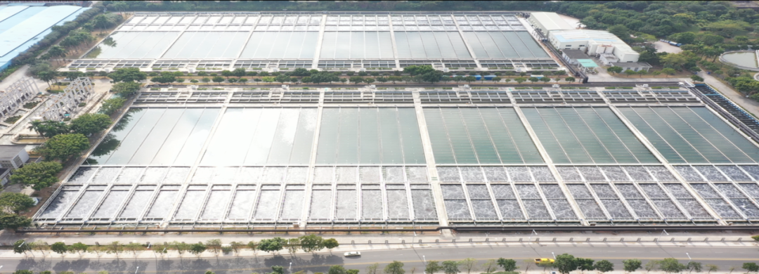 聚焦、合作，深挖MBBR宝藏 | 思普润联合产学研用突破低污染水处理生化瓶颈